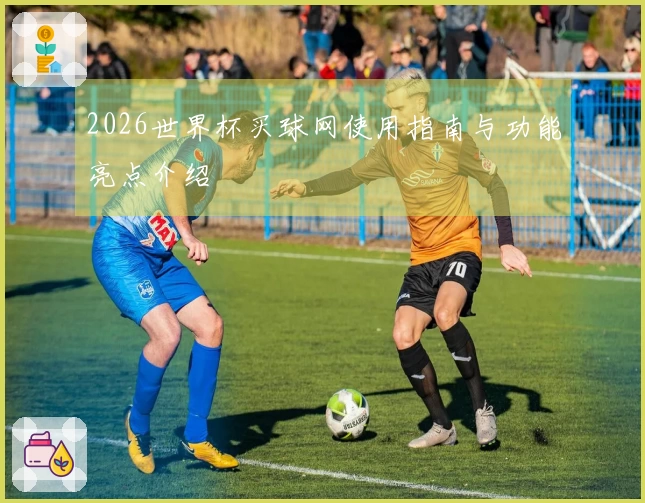 2026世界杯买球网使用指南与功能亮点介绍