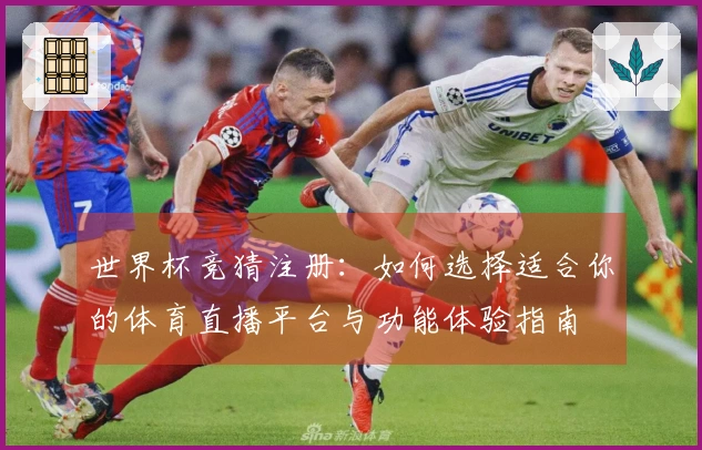 世界杯竞猜注册：如何选择适合你的体育直播平台与功能体验指南