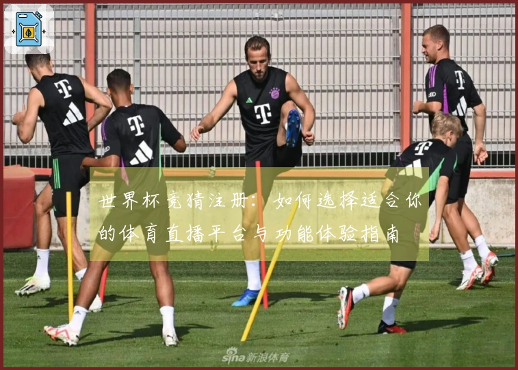 世界杯竞猜注册：如何选择适合你的体育直播平台与功能体验指南