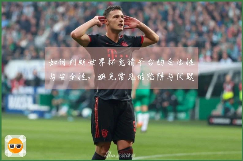 如何判断世界杯竞猜平台的合法性与安全性，避免常见的陷阱与问题