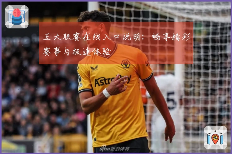 五大联赛在线入口说明：畅享精彩赛事与极速体验