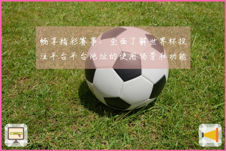 畅享精彩赛事，全面了解世界杯投注平台平台地址的使用场景和功能介绍