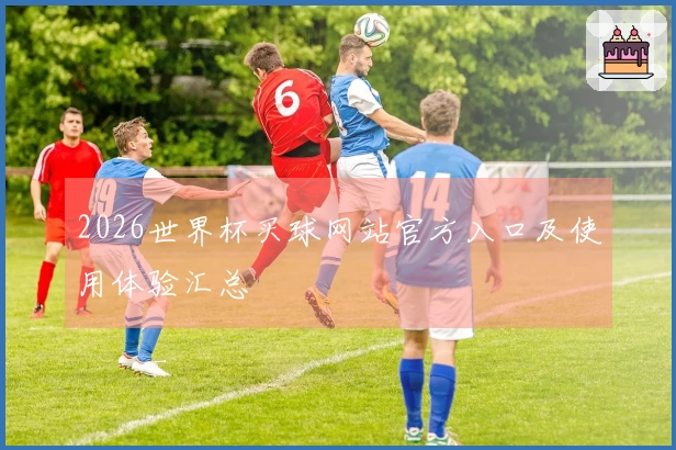 2026世界杯买球网站官方入口及使用体验汇总