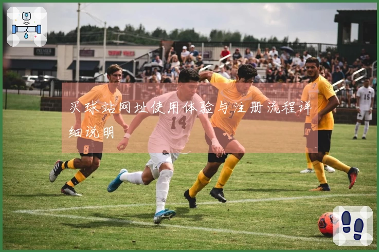 买球站网址使用体验与注册流程详细说明