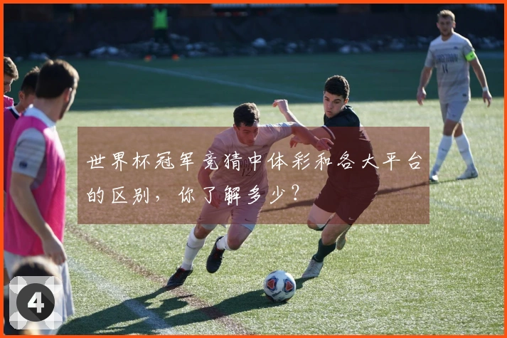 世界杯冠军竞猜中体彩和各大平台的区别，你了解多少？