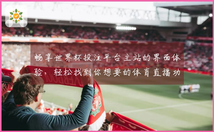 畅享世界杯投注平台主站的界面体验,轻松找到你想要的体育直播功能