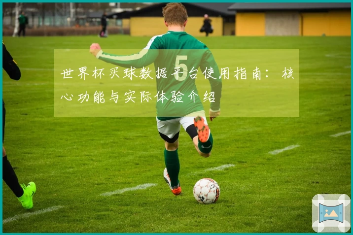 世界杯买球数据平台使用指南：核心功能与实际体验介绍
