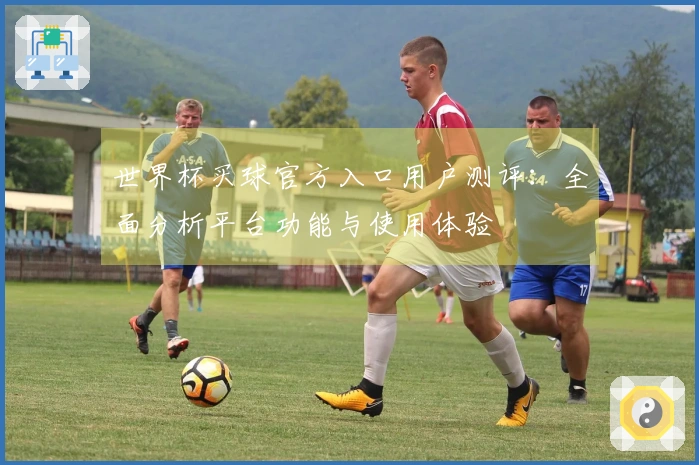 世界杯买球官方入口用户测评：全面分析平台功能与使用体验