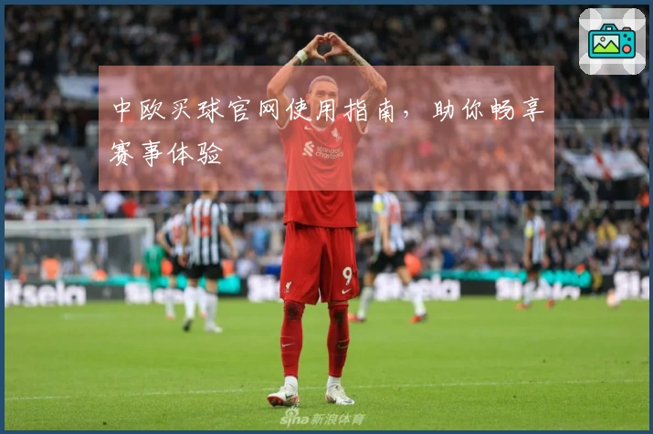中欧买球官网使用指南，助你畅享赛事体验