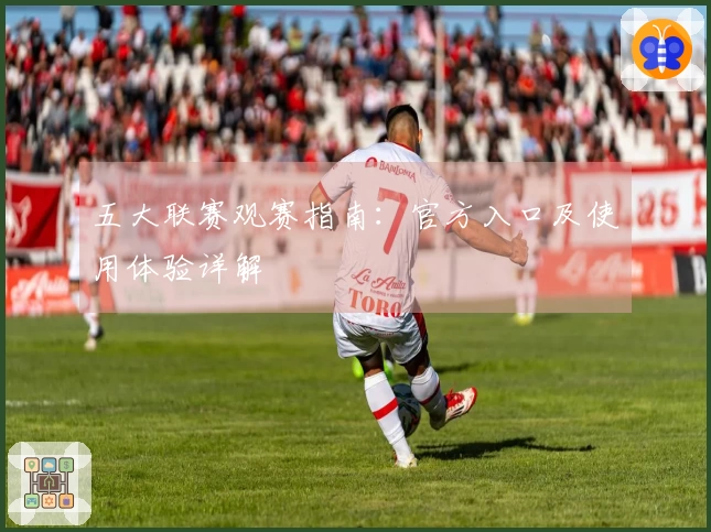 五大联赛观赛指南：官方入口及使用体验详解